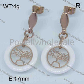 SS Ceramic Earrings  3360004ahjb-676
