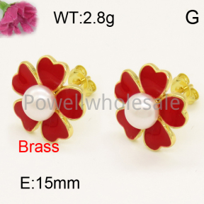 Fashion Brass Earrings  F3E300706bbov-L017