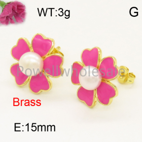 Fashion Brass Earrings  F3E300708bbov-L017