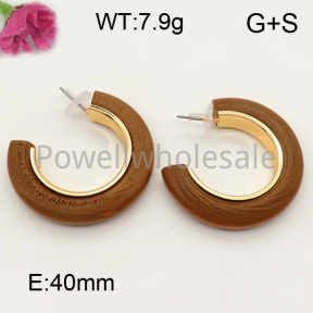 Fashion Earrings  F3E300729vbnb-K53