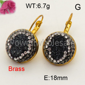 Fashion Brass Earring  F3E400802ahlv-L005