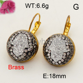 Fashion Brass Earring  F3E400803ahlv-L005