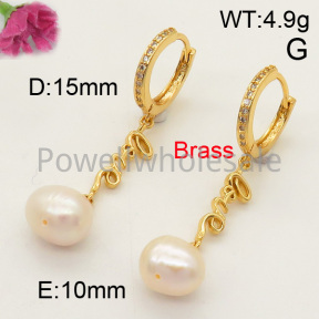 Fashion Brass Earrings  F3E401308bhva-L017