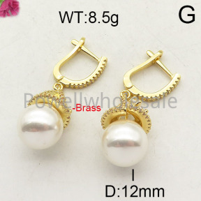 Fashion Brass Earrings  F6E402371vhov-J40