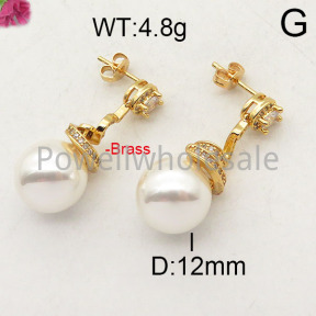 Fashion Brass Earrings  F6E402375vhov-J40