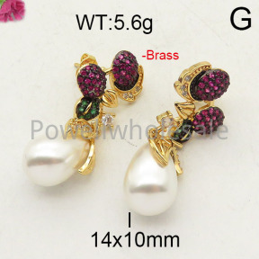 Fashion Brass Earrings  F6E402378biib-J40