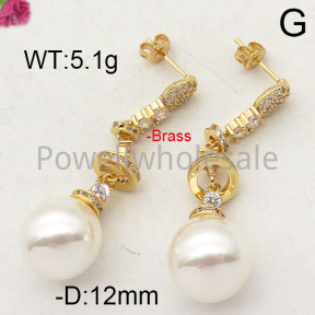 Fashion Brass Earrings  F6E402382vhov-J40