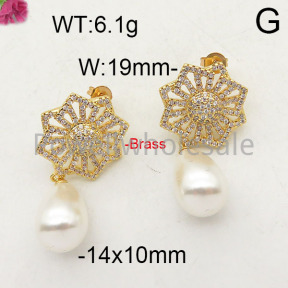 Fashion Brass Earrings  F6E402383vhmv-J40