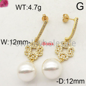 Fashion Brass Earrings  F6E402384vhmv-J40